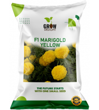 Grow Delight Marigold F1 Yellow 100 Seeds